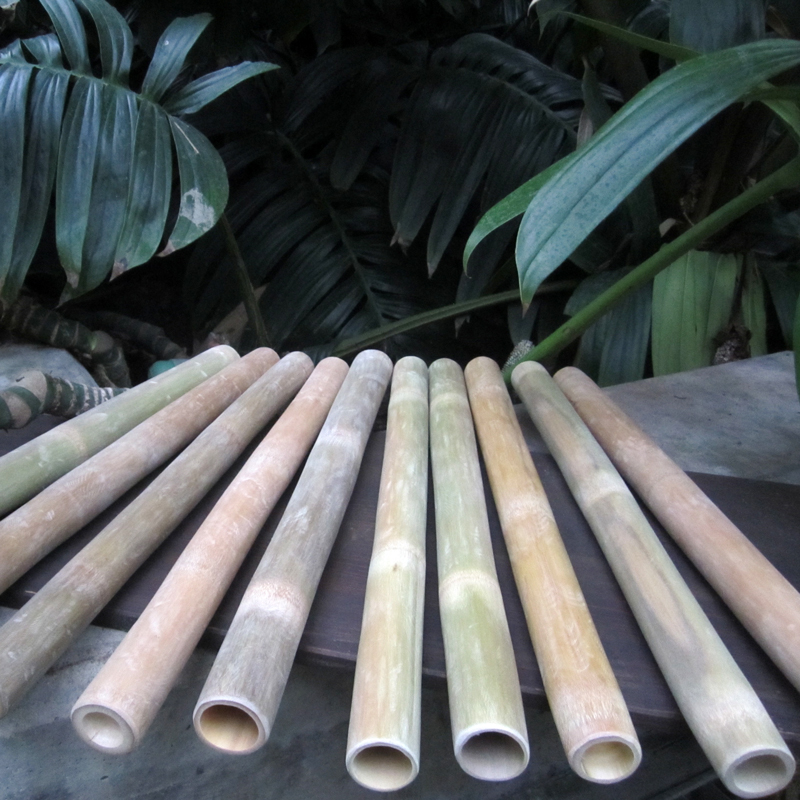 5five - massaggiatore per la testa in bambù