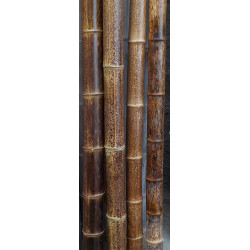 bamboo cane treated with fire, ø 6-7 cm - L. 200 cm