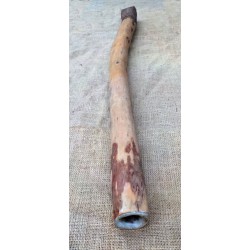 Didgeridoo - Australian didgeridoo: n° 2