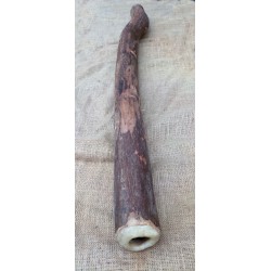 Didgeridoo - Original australian didgeridoo: n° 3 
