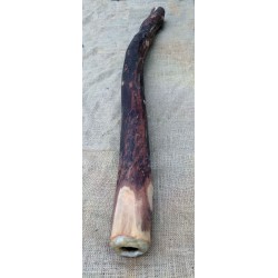 Didgeridoo - Original australian didgeridoo: n° 4