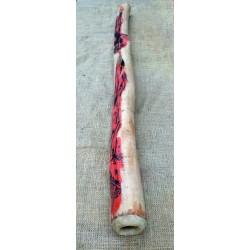 Didgeridoo - Original australian didgeridoo: n° 5