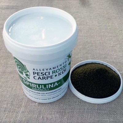 Spirulina baby - mangime in microgranuli 0,5-0,8 mm - 500 ml/250 gr Spirulina baby - mangime in microgranuli 0,5-0,8 mm - 500 ml/250 gr