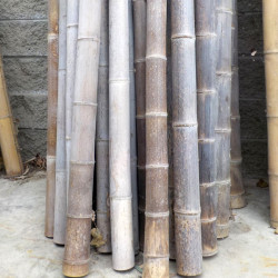 Giant Mao-Zhu bamboo, beige/brownish pole